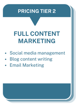 Pricing Tier 2 for Content Marketing