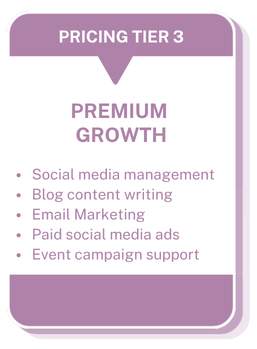 Pricing Tier 3 for Content Marketing